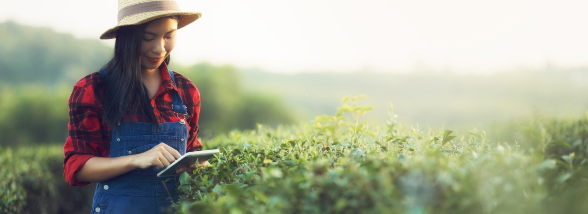 A farmer looks at a tablet while standing in a field.