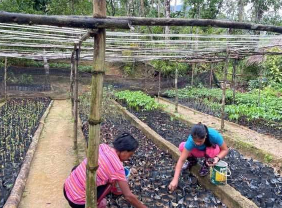 Two women tend to seedlings at a Puerto Princesa tree restoration site. 